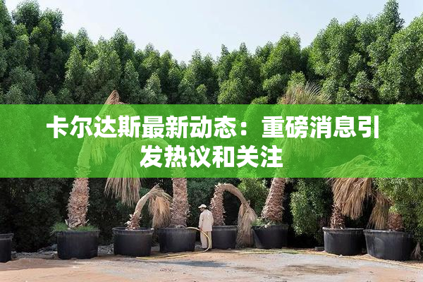 卡尔达斯最新动态：重磅消息引发热议和关注