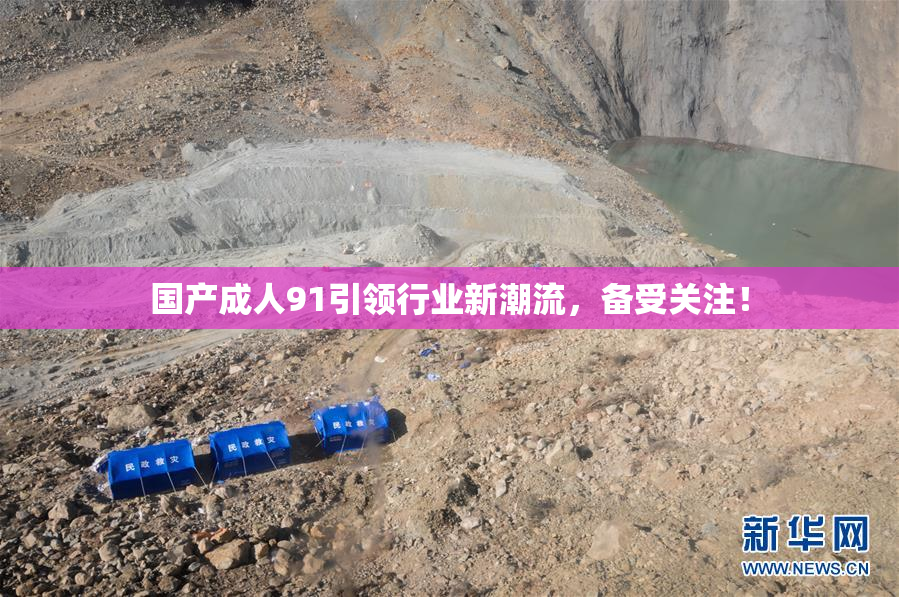 国产成人91引领行业新潮流，备受关注！