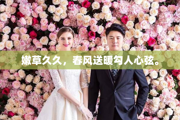 嫩草久久，春风送暖勾人心弦。