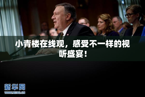 小青楼在线观，感受不一样的视听盛宴！