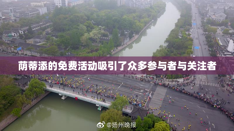 荫蒂添的免费活动吸引了众多参与者与关注者