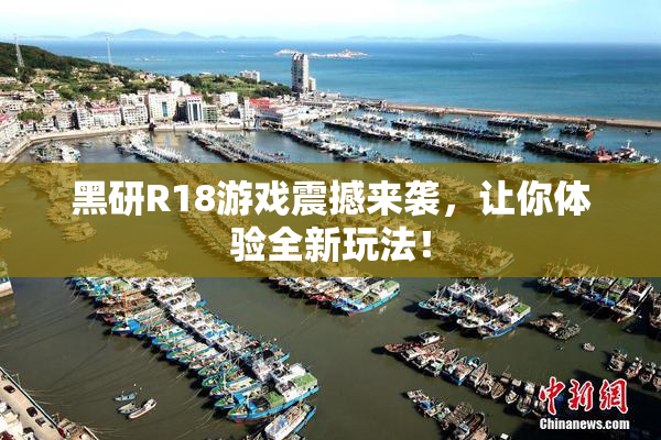 黑研R18游戏震撼来袭，让你体验全新玩法！