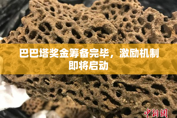 巴巴塔奖金筹备完毕，激励机制即将启动