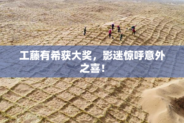 工藤有希获大奖，影迷惊呼意外之喜！