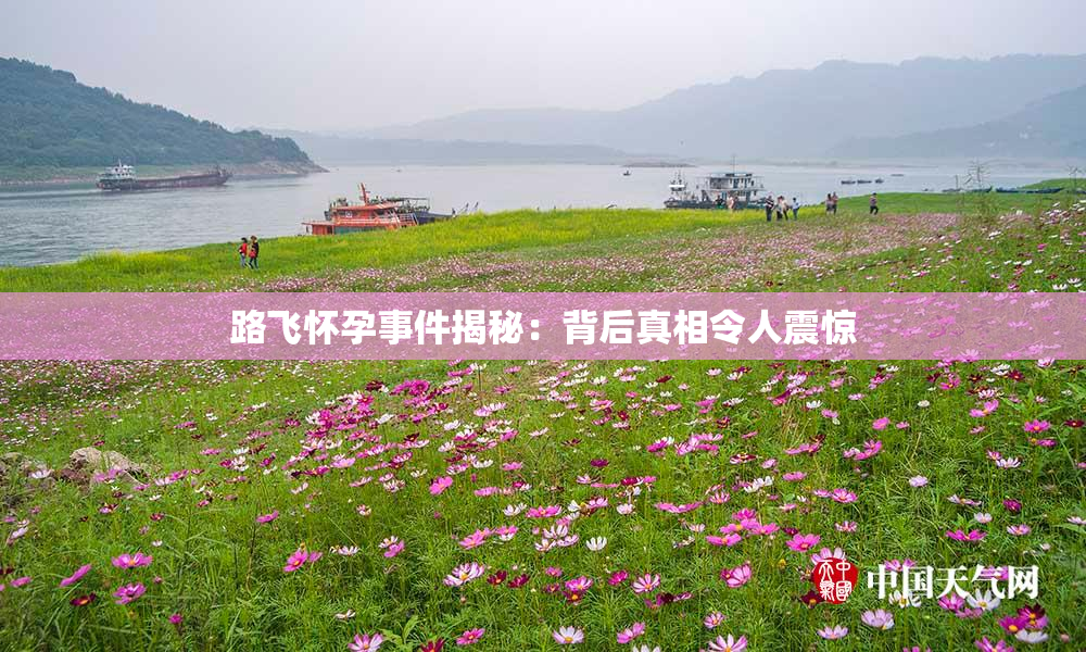 路飞怀孕事件揭秘：背后真相令人震惊