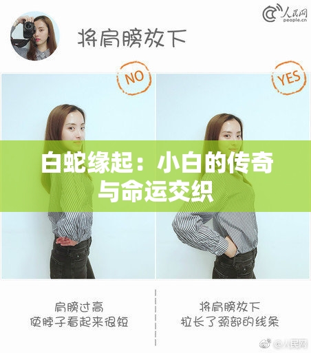 白蛇缘起：小白的传奇与命运交织