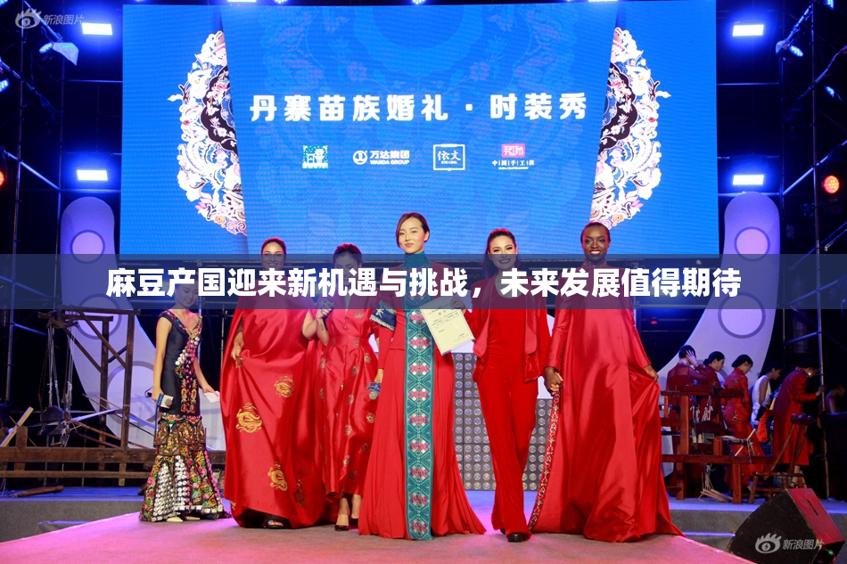 麻豆产国迎来新机遇与挑战，未来发展值得期待
