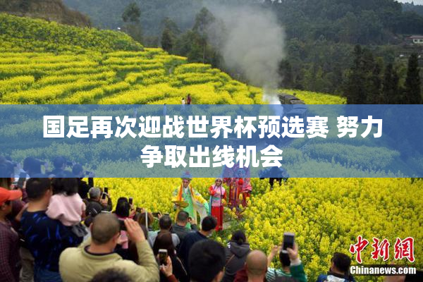 国足再次迎战世界杯预选赛 努力争取出线机会