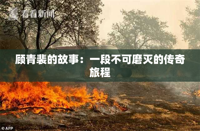 顾青裴的故事：一段不可磨灭的传奇旅程