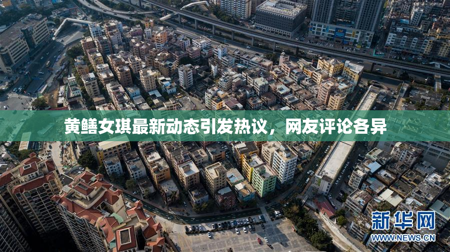 黄鳝女琪最新动态引发热议，网友评论各异