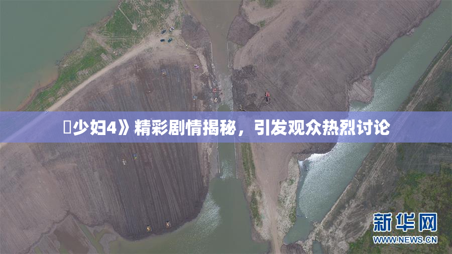 巜少妇4》精彩剧情揭秘，引发观众热烈讨论