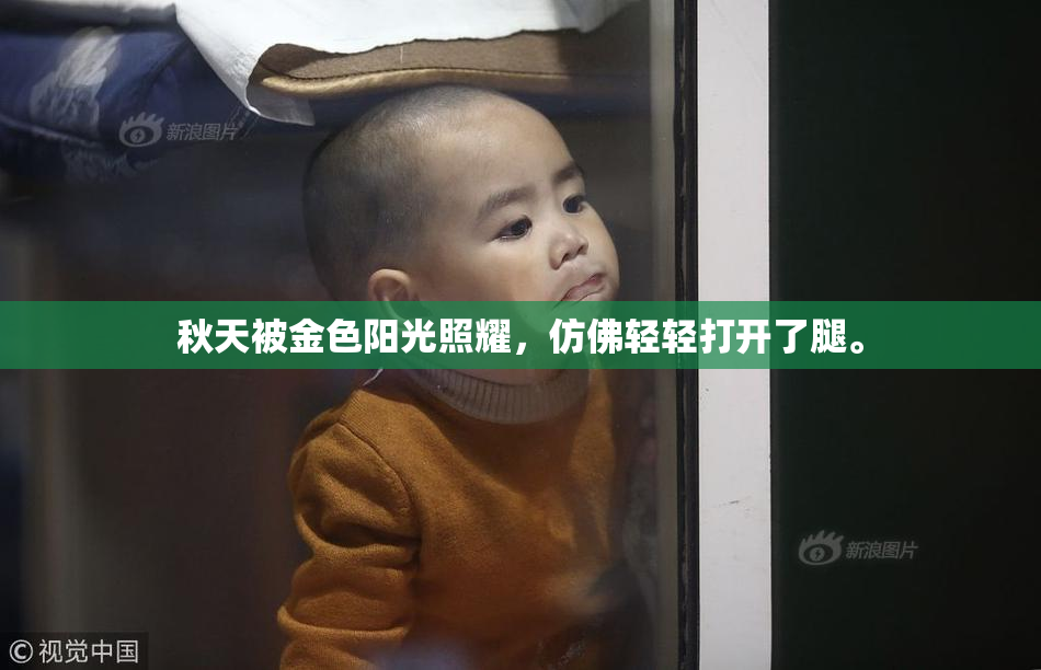 秋天被金色阳光照耀，仿佛轻轻打开了腿。