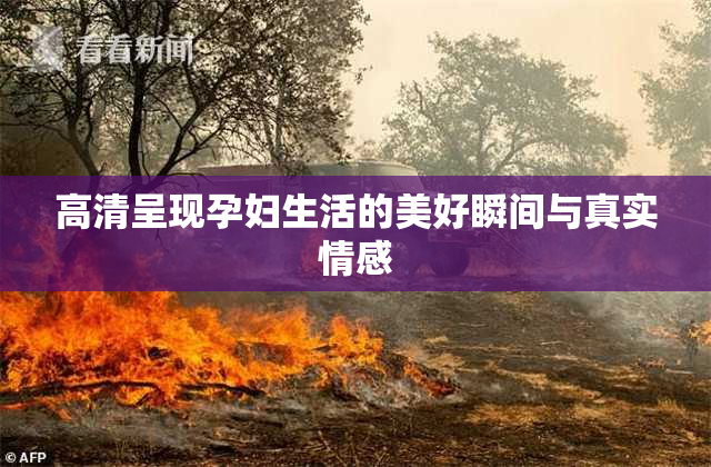 高清呈现孕妇生活的美好瞬间与真实情感