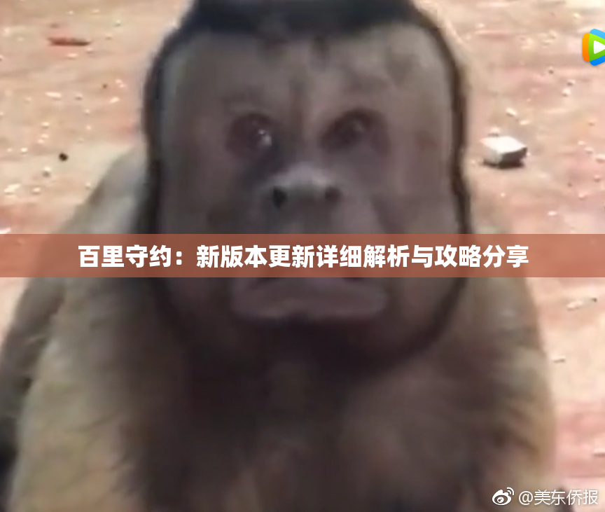 百里守约：新版本更新详细解析与攻略分享
