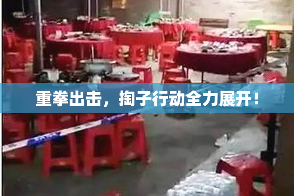 重拳出击，掏子行动全力展开！
