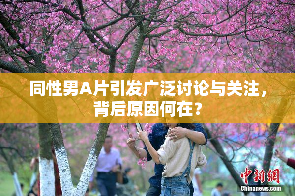 同性男A片引发广泛讨论与关注，背后原因何在？