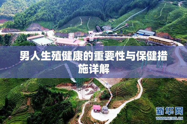 男人生殖健康的重要性与保健措施详解