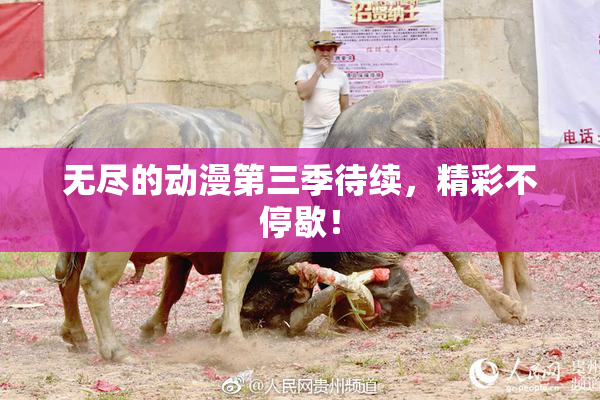 无尽的动漫第三季待续，精彩不停歇！
