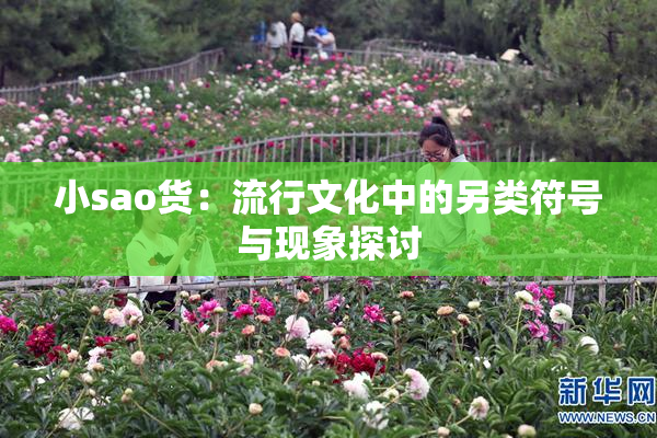 小sao货：流行文化中的另类符号与现象探讨