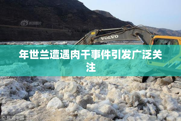 年世兰遭遇肉干事件引发广泛关注