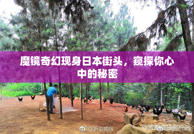魔镜奇幻现身日本街头，窥探你心中的秘密
