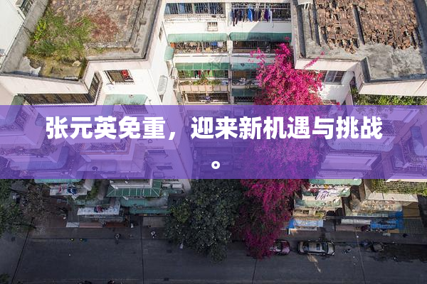 张元英免重，迎来新机遇与挑战。