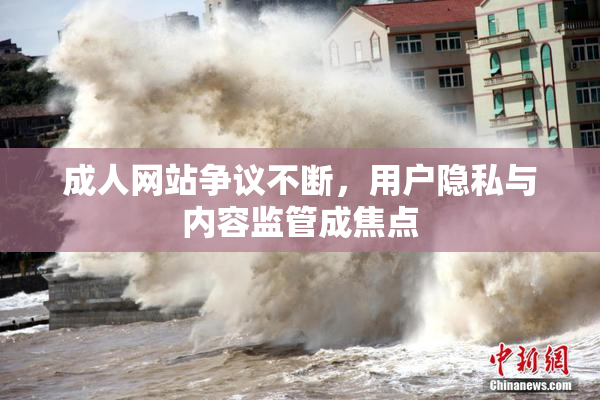 成人网站争议不断，用户隐私与内容监管成焦点
