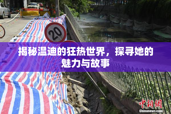 揭秘温迪的狂热世界，探寻她的魅力与故事