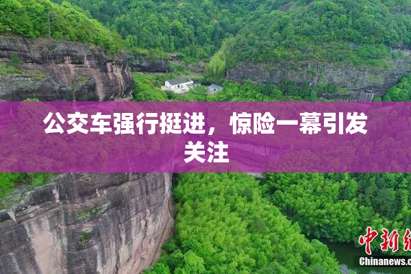 公交车强行挺进，惊险一幕引发关注