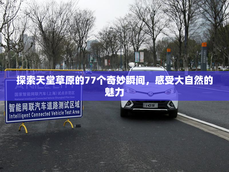 探索天堂草原的77个奇妙瞬间，感受大自然的魅力