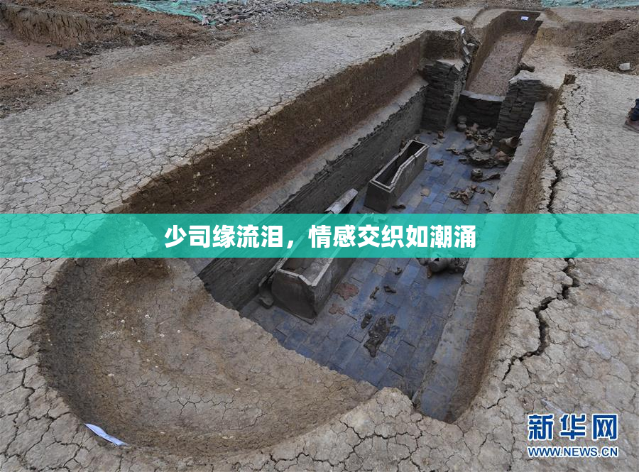 少司缘流泪，情感交织如潮涌