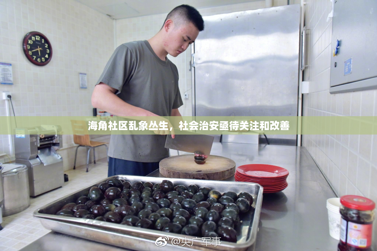 海角社区乱象丛生，社会治安亟待关注和改善