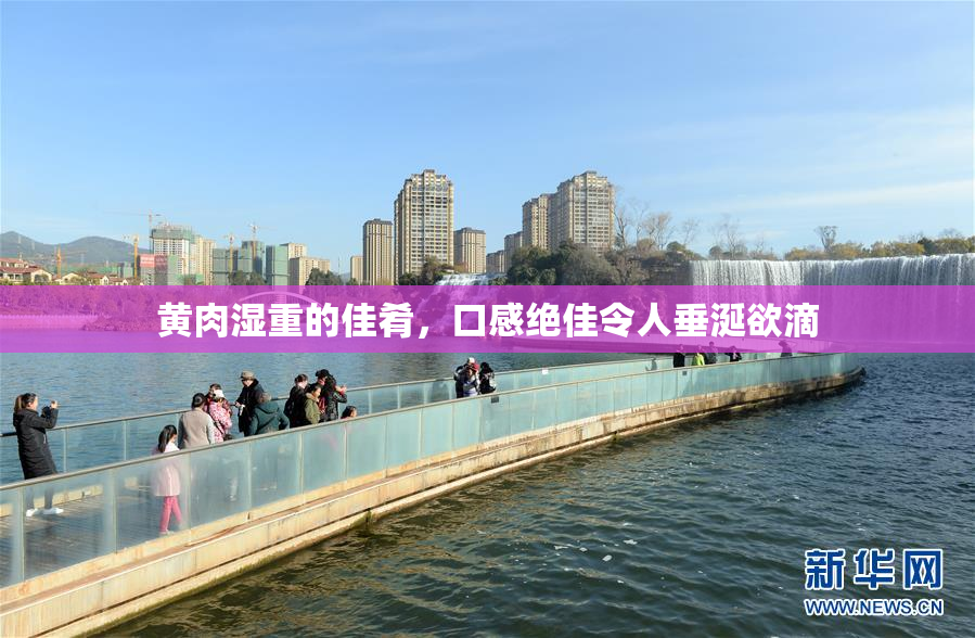 黄肉湿重的佳肴，口感绝佳令人垂涎欲滴
