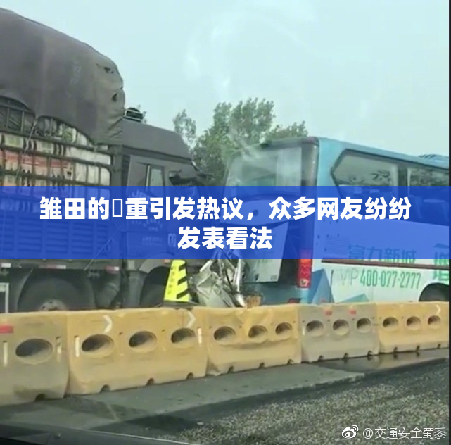 雏田的婬重引发热议，众多网友纷纷发表看法