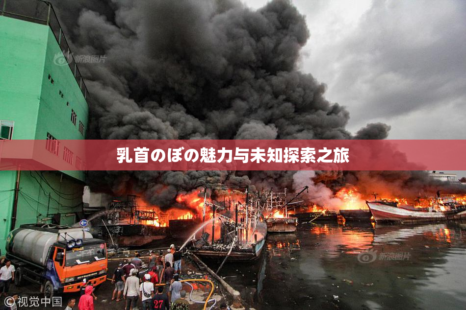 乳首のぼの魅力与未知探索之旅