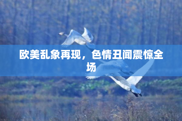 欧美乱象再现，色情丑闻震惊全场