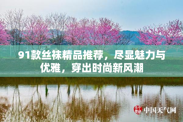 91款丝袜精品推荐，尽显魅力与优雅，穿出时尚新风潮