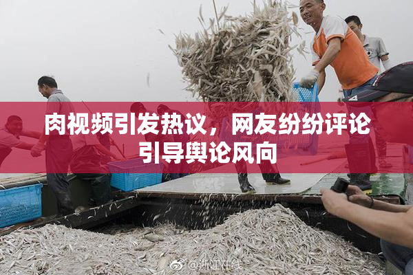 肉视频引发热议，网友纷纷评论引导舆论风向