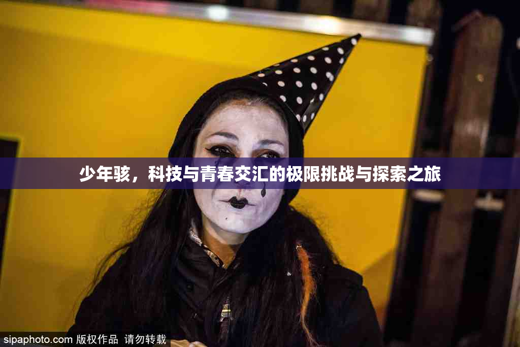 少年骇，科技与青春交汇的极限挑战与探索之旅