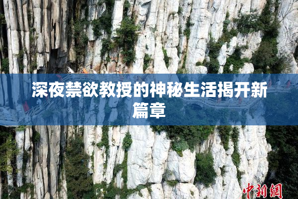深夜禁欲教授的神秘生活揭开新篇章