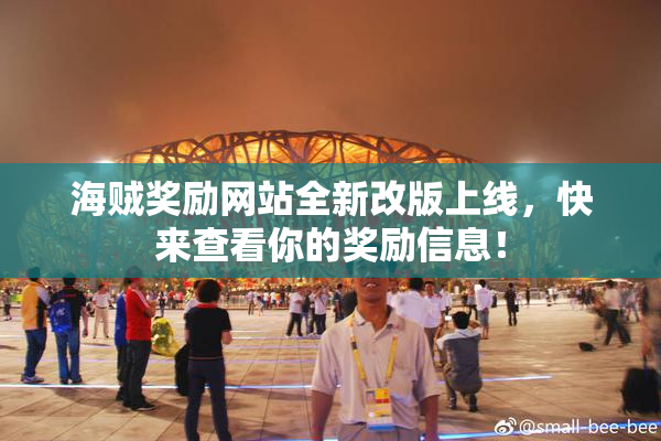 海贼奖励网站全新改版上线，快来查看你的奖励信息！