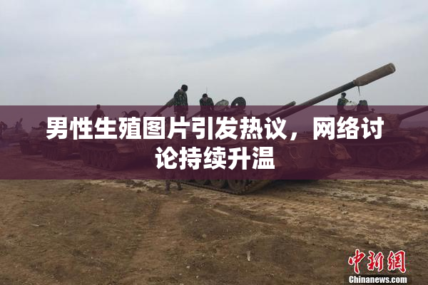 男性生殖图片引发热议，网络讨论持续升温