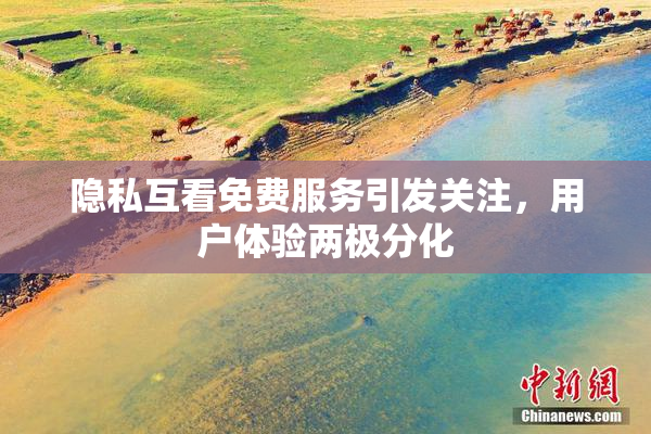 隐私互看免费服务引发关注，用户体验两极分化