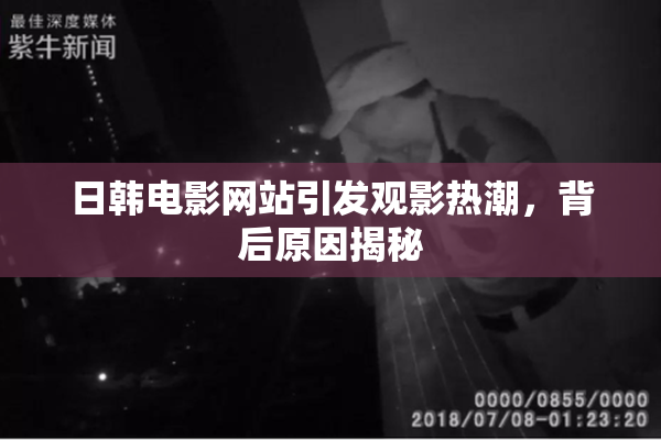 日韩电影网站引发观影热潮，背后原因揭秘