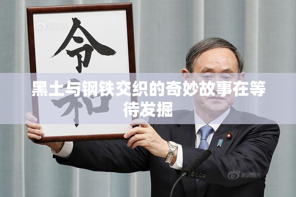 黑土与钢铁交织的奇妙故事在等待发掘