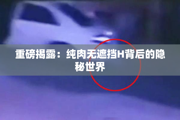 重磅揭露：纯肉无遮挡H背后的隐秘世界