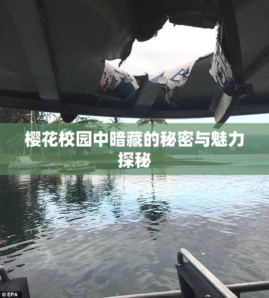 樱花校园中暗藏的秘密与魅力探秘