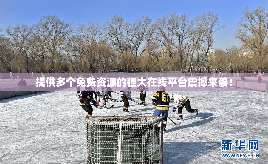 提供多个免费资源的强大在线平台震撼来袭！