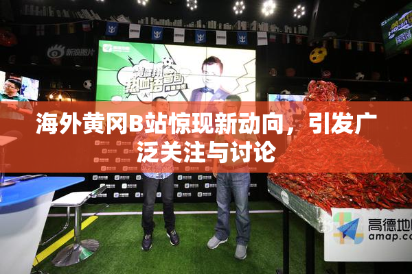海外黄冈B站惊现新动向，引发广泛关注与讨论