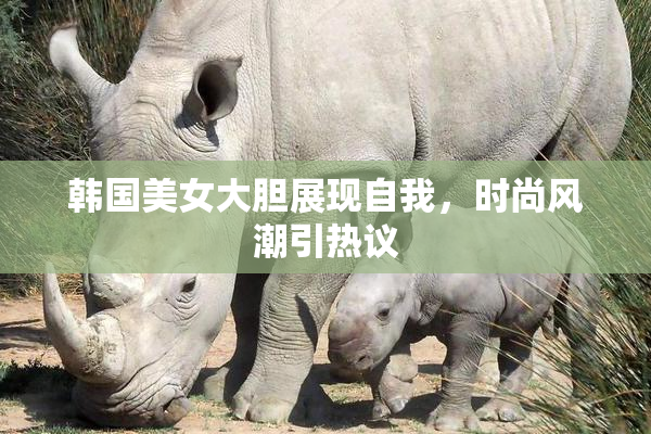 韩国美女大胆展现自我，时尚风潮引热议